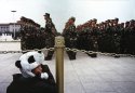 Kodachrome Beijing - Panda Soldiers (2010)