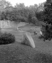 Farmhouse Rocks