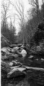 GoForth Creek