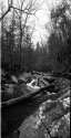GoForth Creek
