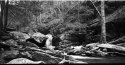 GoForth Creek