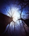 Images from medium format pinhole cam