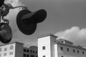 Signal