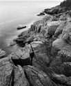 Acadia Coastline