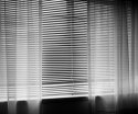 Window Blind