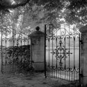 Gate revisited