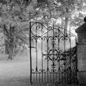 Gate revisited II