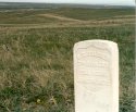 Custer's last stand