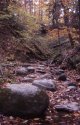 Rocky Streambed
