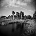 Hickory Mound 48