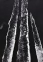 Icicles arranged against a tree background