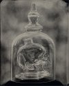 Crystal Skull Under Glass