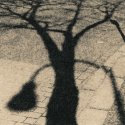 Ilford Art 300 Grained Shadow