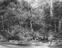rush creek.tif