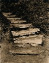 Steps