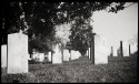 Confederate Dead