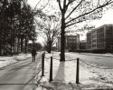 Curtin Rd.
