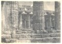 Paestum temples