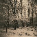 Snow on Ilford Art 300