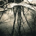 Entwined, Eagle Creek