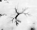 snow pattern