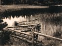 Summer Evening at Mud Lake
