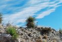 Guadalupe Mountains