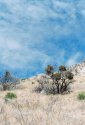 Guadalupe Mountains