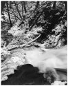 Adox 25 Pan 4X5 test