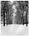 UVic in February