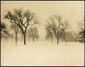 Victory Memorial Drive