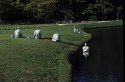 Grass cutters