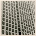 Downtown Austin hassy #1