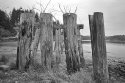 RR trestle remains
