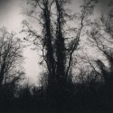 old schwurhand, carbon toned Art 300