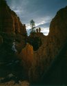 red canyon utah001