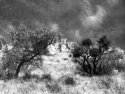 Frijole Ranch