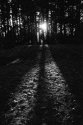 Camera 6 B&W
