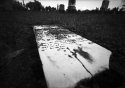 Pine Grove Cemetery No. 3