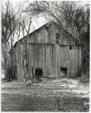Old Barn on Douglas