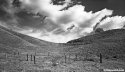 calabasas pasture