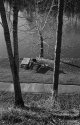 picnic