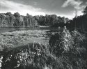 Highlander Way Pond