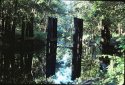 Past Reflections in Kodachrome