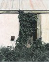 Overgrown Milkhouse Door