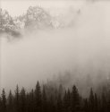 Yosemite - Fog in the Valley