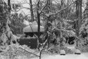 Snow 2011