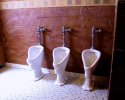 Urinals
