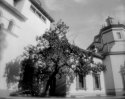 Barcelona, Mother Land series
