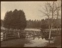 Spring Flood